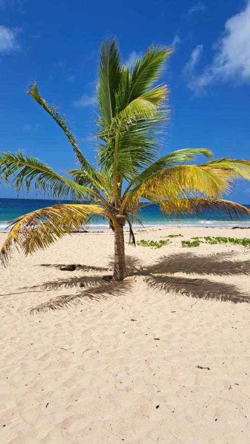 Studio Plage De L'Anse Caritan 圣安娜 外观 照片