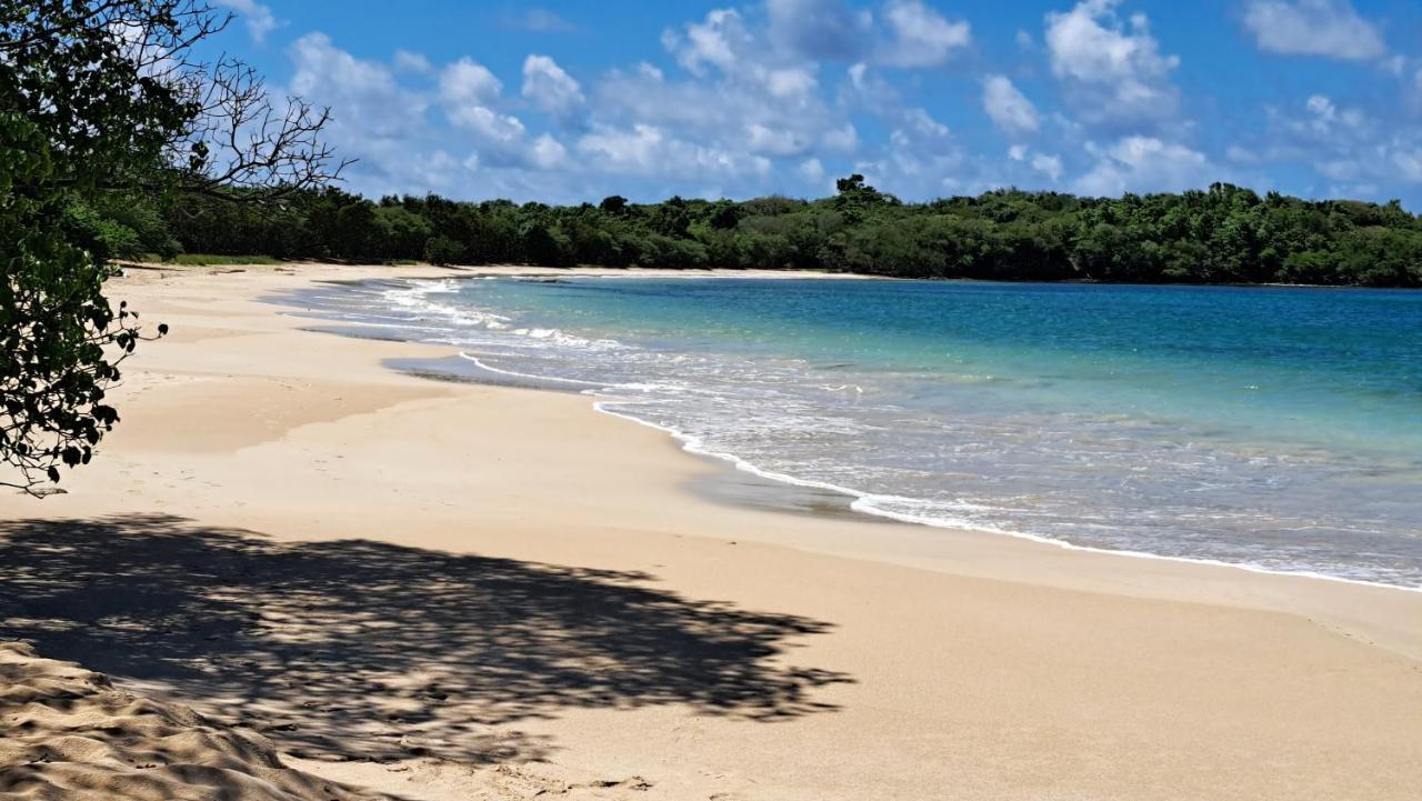 Studio Plage De L'Anse Caritan 圣安娜 外观 照片